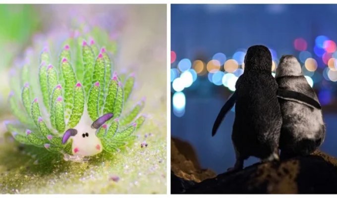 25 inspiring shots that will take your breath away (26 photos)