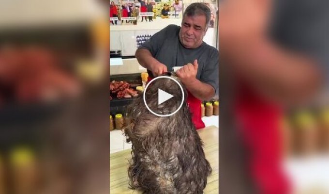 Turkish Tulum cheese.