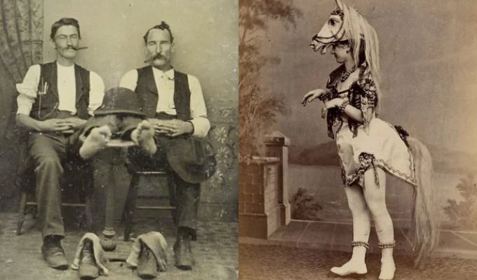Жизнь в викторианскую эпоху: 46 редких фотографий, которые вас удивят (47 фото)