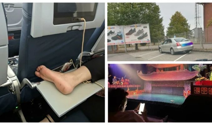 30 человек, которых стоит публично пристыдить за незнание элементарных норм приличия (31 фото)