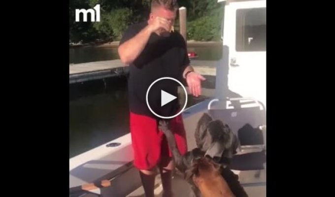 Dog pushes owner overboard of boat