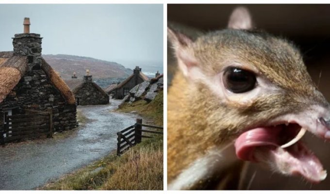 10 mesmerizing photos that you shouldn’t miss (11 photos)