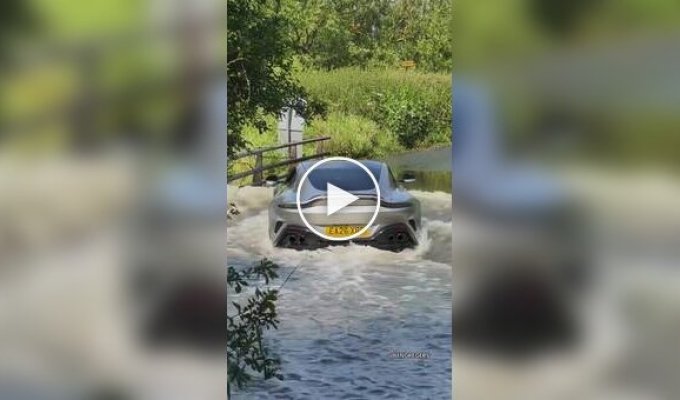 Когда у тебя много денег, но ты все равно идиот