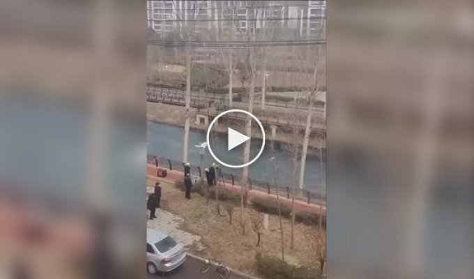 В Китае деревья теперь «стригут» лазерным лучом с дистанции