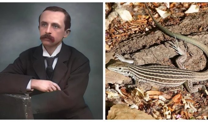 8 real facts that look like crazy fiction (9 photos)