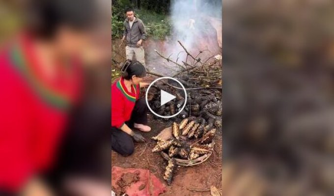 In China, they prepare traditional fried pine cones with a smoky aroma