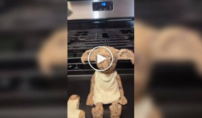 A girl wanted to bake Dobby-shaped cookies, but something went wrong