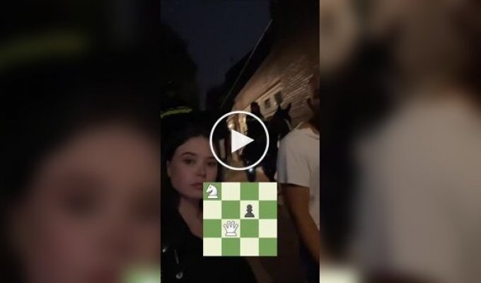 Вот как выглядят шахматы в реальной жизни