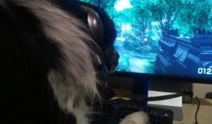 Cool pictures. Issue 3972 (116 photos)