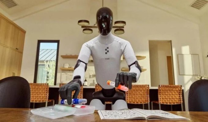 Humanoid Robots Help Around the House (2 photos + 2 videos)