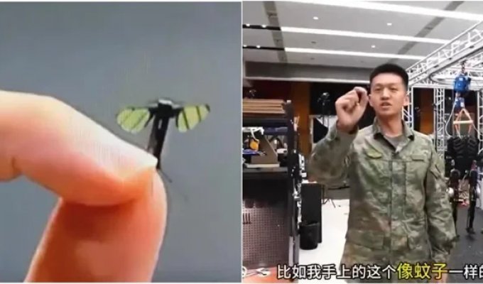 Chinese scientists have created mosquito-sized reconnaissance drone (3 photos + 2 videos)