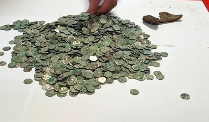 Мужчина во время прогулки нашел почти 1500 древних монет (7 фото)