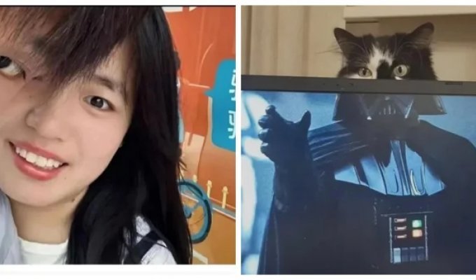 13 examples of perspective that will make you rub your eyes and doubt the reality of what you see (14 photos)