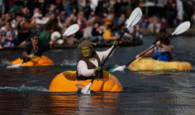 В США прошла необычная регата на гигантских тыквах (2 фото + 1 видео)