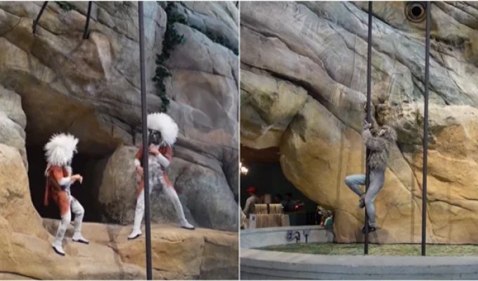 A zoo with a human face opened in Abu Dhabi (1 photo + 3 videos)