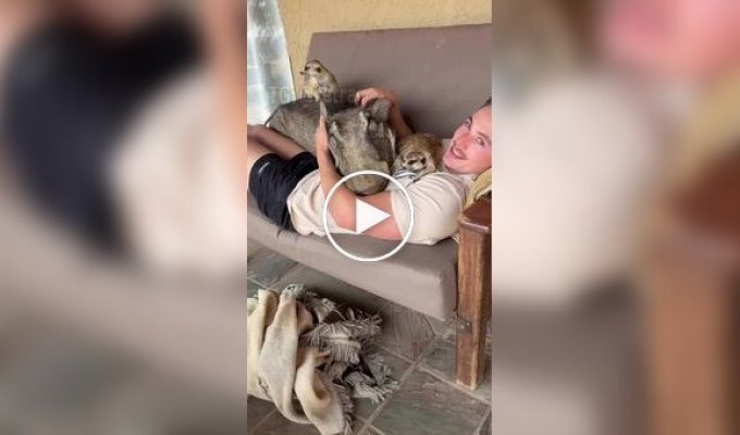 Тімон і Пумба в африканському заповіднику