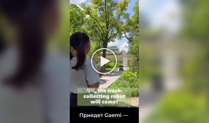 Robots for collecting garbage have appeared in Korean parks