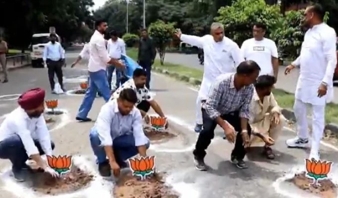 Lotus Flowers Planted in Potholes in India (7 photos)