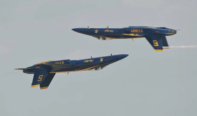 Blue Angels aerobatic team show (13 photos)