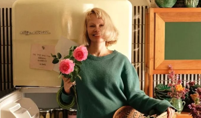 Pamela Anderson released a series of pickled cucumbers with her name (5 photos)