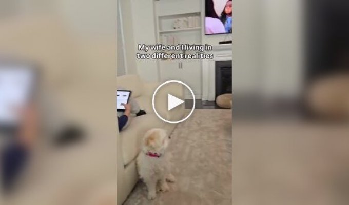 Коли чоловік і дружина живуть у різних реальностях