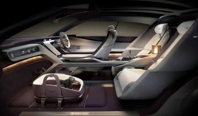 Bentley showed the EXP 15 show car (13 photos)