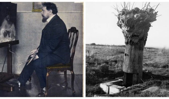 Необычные стратегические перевоплощения обычных деревьев (11 фото)