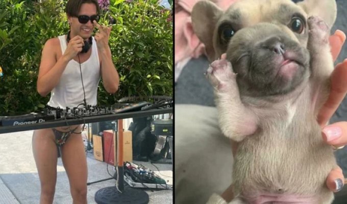 16 фотографий с оптическими иллюзиями, при разгадке которых можно сломать мозг или запутаться (17 фото)