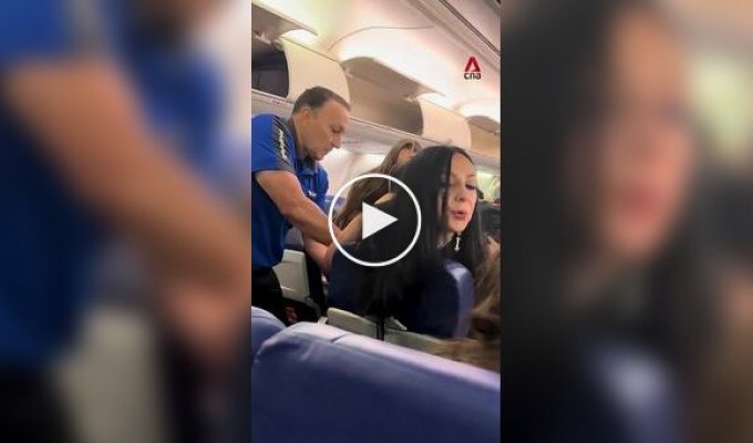 A drunk artist grabbed a fellow traveler by the hair on an airplane, spat at her