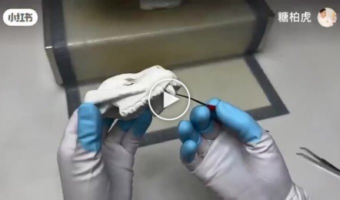 Making an unusual dessert in the form of a panda