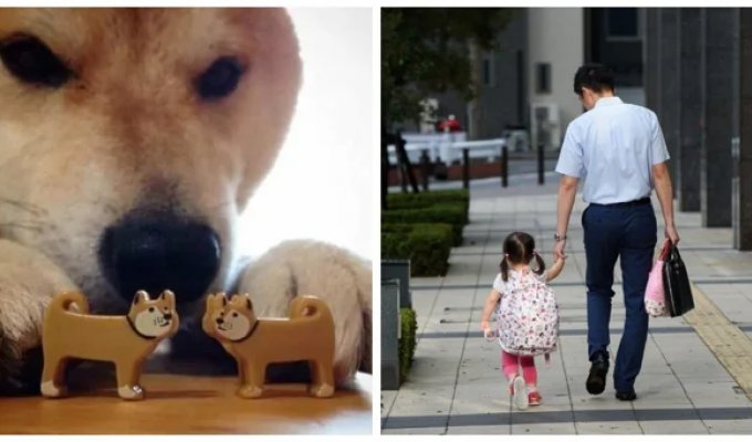 Japan to introduce a four-day work week to combat low birth rates (2 photos)