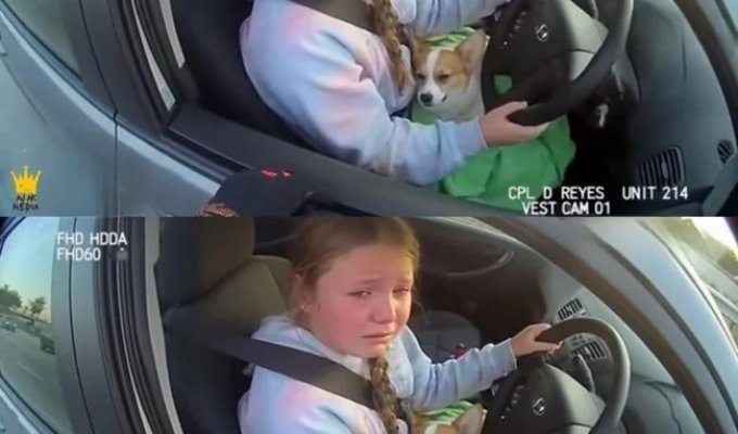 12-летняя девочка была остановлена полицией (1 фото)