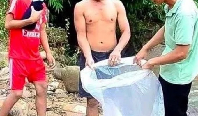 In Vietnam, parents are sending their children to school in plastic bags (4 photos)