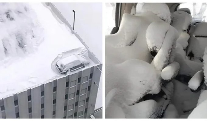 29 сміливих зимових невдач (30 фото)