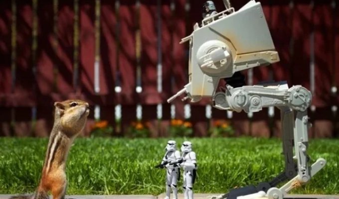 Cool shots that don't have a drop of Photoshop (15 photos)