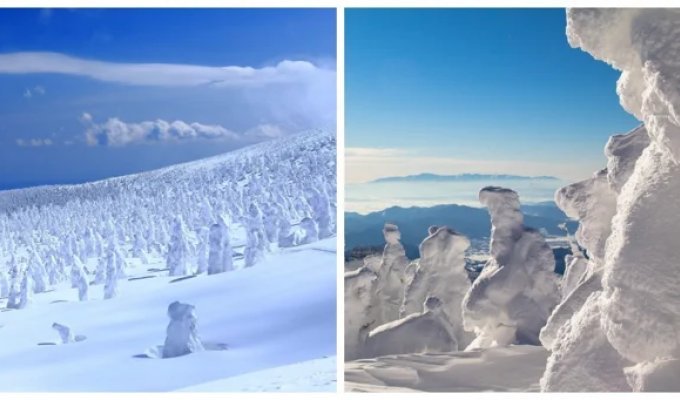 Juhyo – icy ghostly creatures Guardians of Mount Zao (17 photos)