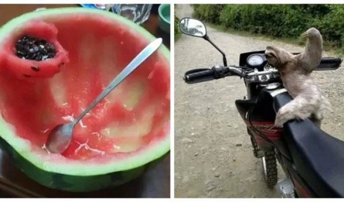 25 реальних життєвих моментів, які неможливо вигадати (26 фото)