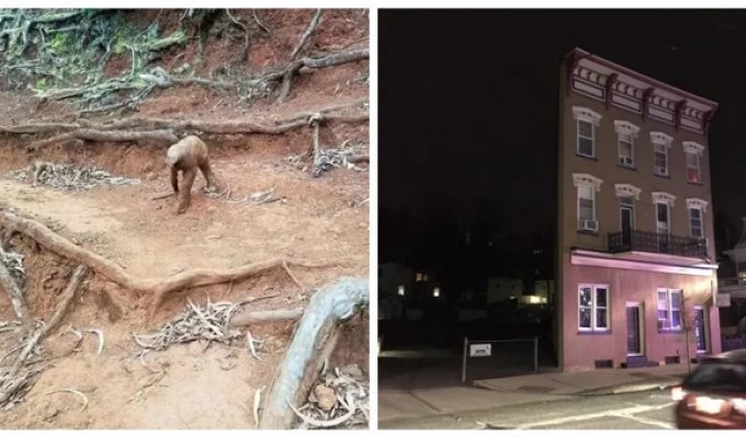 20 striking examples of how masterfully our eyes and brains can deceive us, creating a new reality (21 photos)