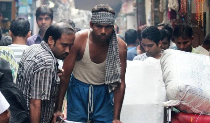 What happened to the mass sterilization program in India (7 photos)