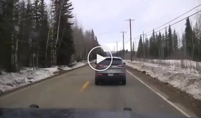 A chase in Alaska with an epic ending