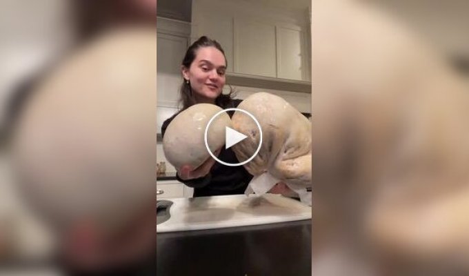 A rare delicacy: the giant bighead and its unusual properties