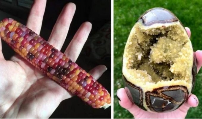 20 amazing photos you should see at least once in your life (21 photos) (photo)