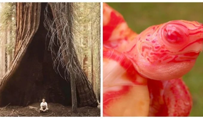 16 странноватых кадров, которые можно сравнить с порталом в невероятное (17 фото)