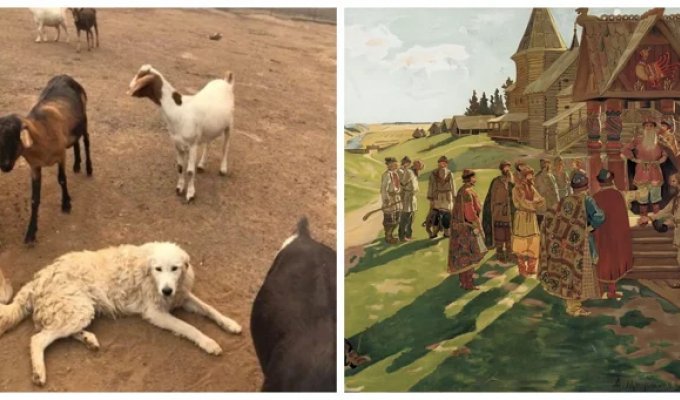 8 исторических фактов, в которые невозможно поверить, но они реальны (9 фото)