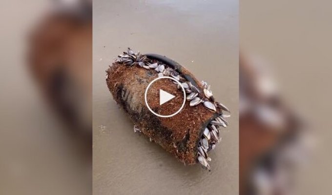 A water pump was in the water for several months and is still working