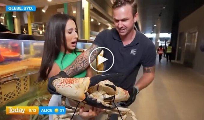 A crab attacked a journalist on air - her "revenge" surprised viewers