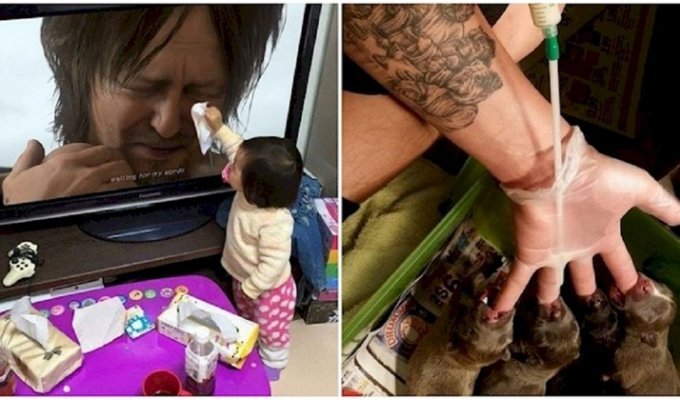 Ці фотографії повернуть вам віру в людство (19 фото)