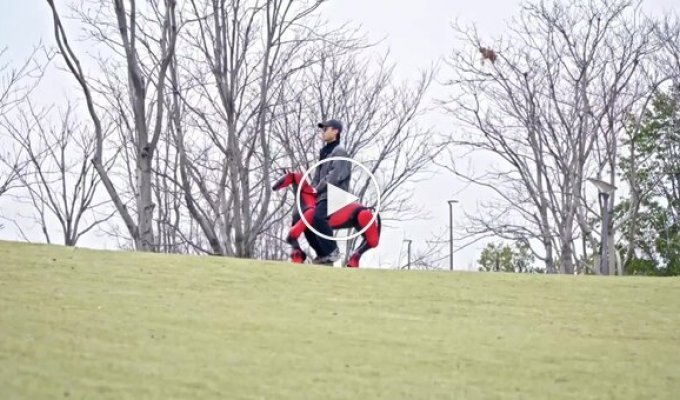 Китайцы сделали роболошадь