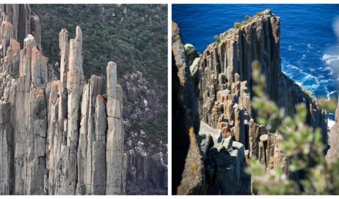 A Tasmanian Rock Organ Created by the Tide (10 photos)
