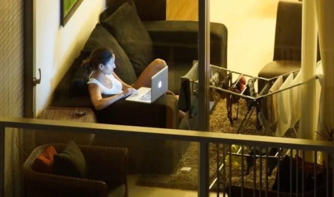 Чому голландці не завішують вікна шторами (6 фото)